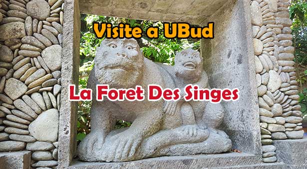 Visite de la Foret des Singes - Monkey Forest a Ubud