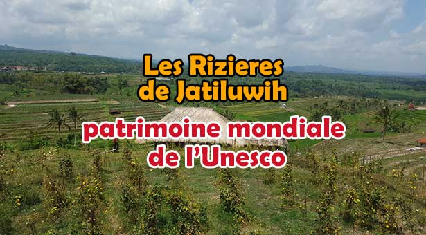 Visite-des-rizières-de-Jatiluwih-a-Tabanan