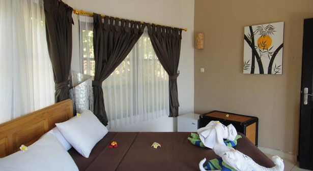The Hamsa Hotel Lovina Blog Bali 2