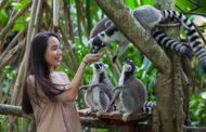 20% de réduction pour visiter le zoo de Bali