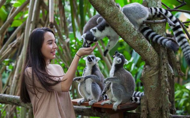 20% de réduction pour visiter le zoo de Bali