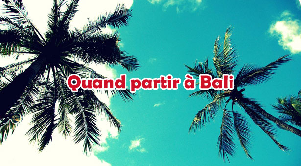 bali-meteo-climat-palmiers-lebaliblog