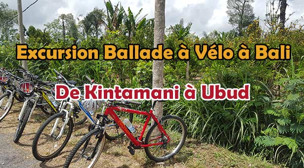 Excursion à Bali en Vélo VTT de Kintamani Batur à Ubud