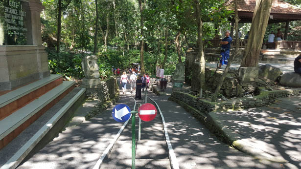 Visite de la Foret des Singes - Monkey Forest a Ubud (4)