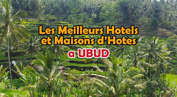 Meilleurs-Hotels-Ubud-Bali