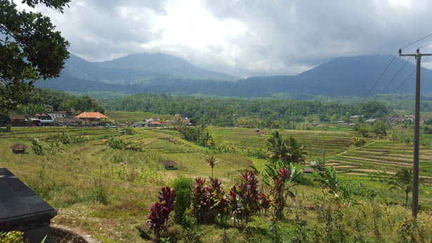 Rizieres de Jatiluwih Unesco Tabanan Bali (4)