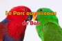 Découvrez le Parc aux oiseaux de Bali (Bali Bird Park)