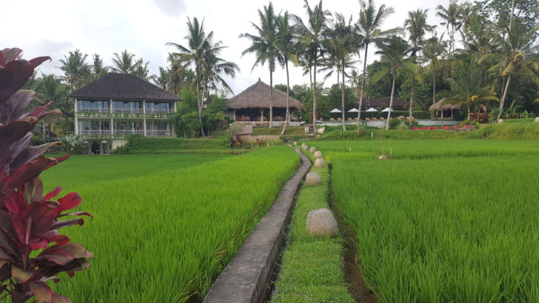 Mathis Retreat Ubud : Votre hôtel de charme à Ubud