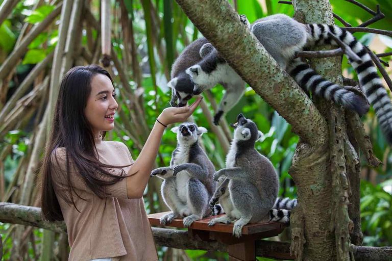 20% de réduction pour visiter le zoo de Bali