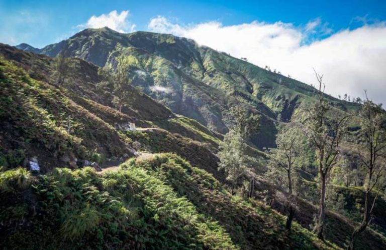 Tout savoir pour organiser votre ascension du Mont Ijen à Java | lebaliblog