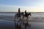 Réserver votre promenade à cheval dans les rizières et sur la plage à Bali