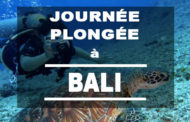 Baptême de Plongée à Tulamben Bali : Une journée mémorable