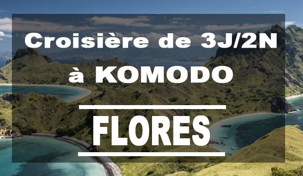 Croisière entre les îles Komodo et Flores