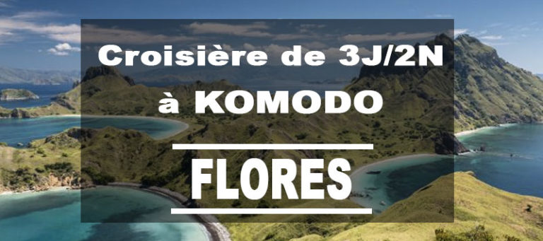 Croisière dans les îles Komodo à Flores