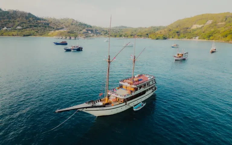 Réserver votre croisière pour Komodo depuis Lombok ou Flores