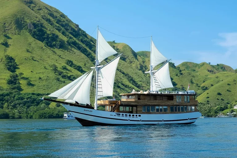 Raffles Cruise