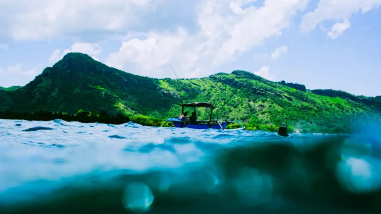 Voyage Solo Komodo : Ce qu&rsquo;il faut savoir sur les croisières partagées